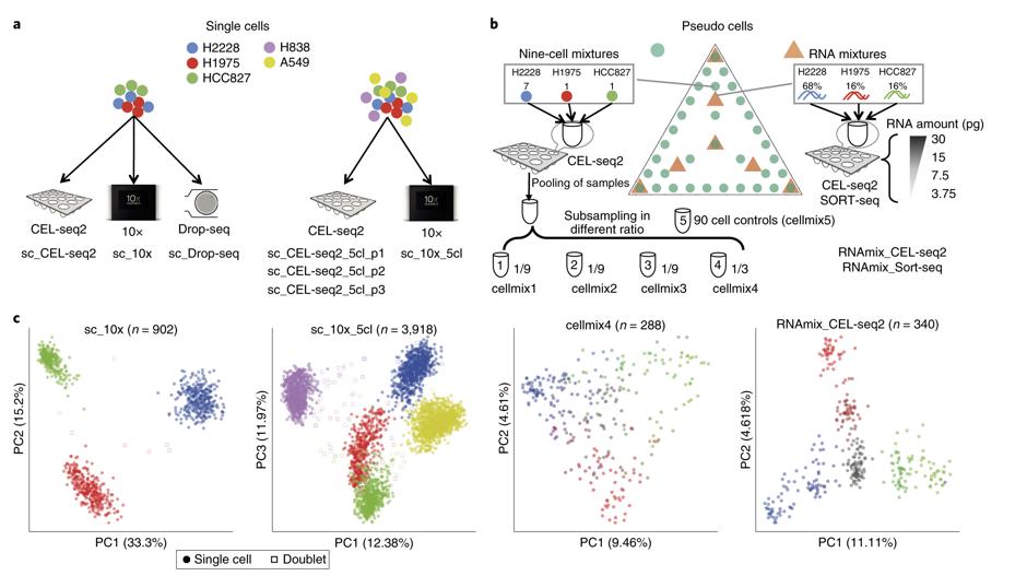 mmw_lmw's tweet photo. #SingleCell_RNAseq | Benchmarking analysis pipelines using mixture control experiments | Matthew Ritchie @WEHI_research @naturemethods https://t.co/8YAa5u7zCo https://t.co/2visYuXbv7
