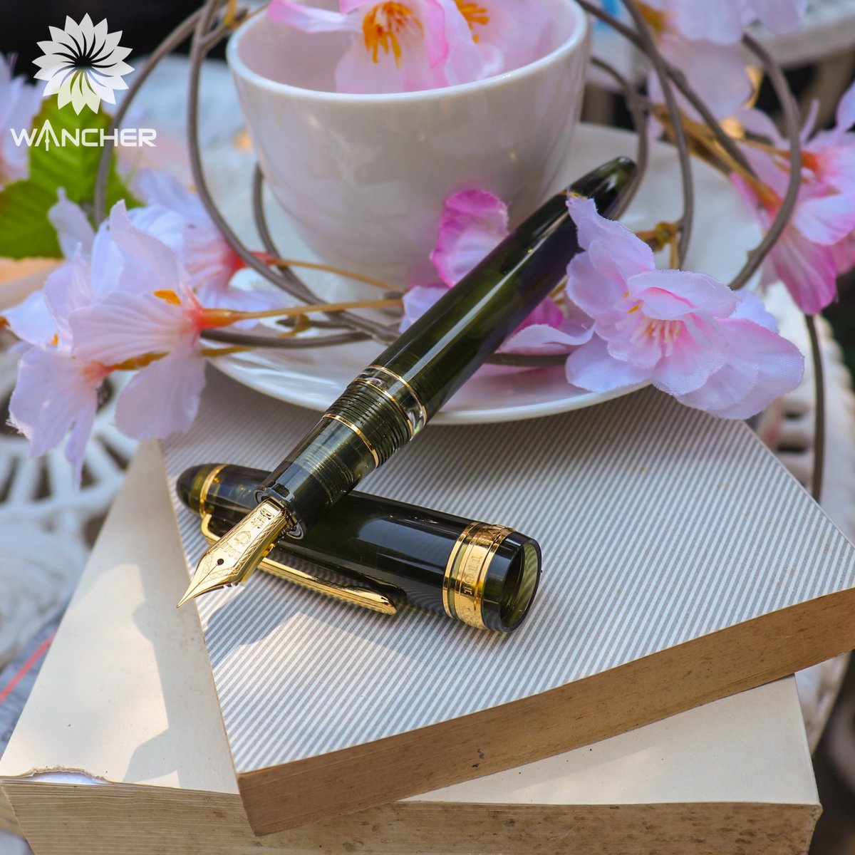 Wancher_Global's tweet image. We have heard that &quot;If you want to have a pen that works with any ink and can hold a lot of it, you want a piston-filled fountain pen.&quot; How do you think?

#pistonfiller #pistonfillerfountainpen #sailorchampagnegreen #wancherxsailor #profitrealo #japanesefountainpen