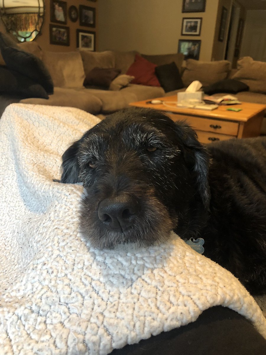 julinabert's tweet photo. @emmalabizarre Cali says hello ! https://t.co/aoWIPxtrPu