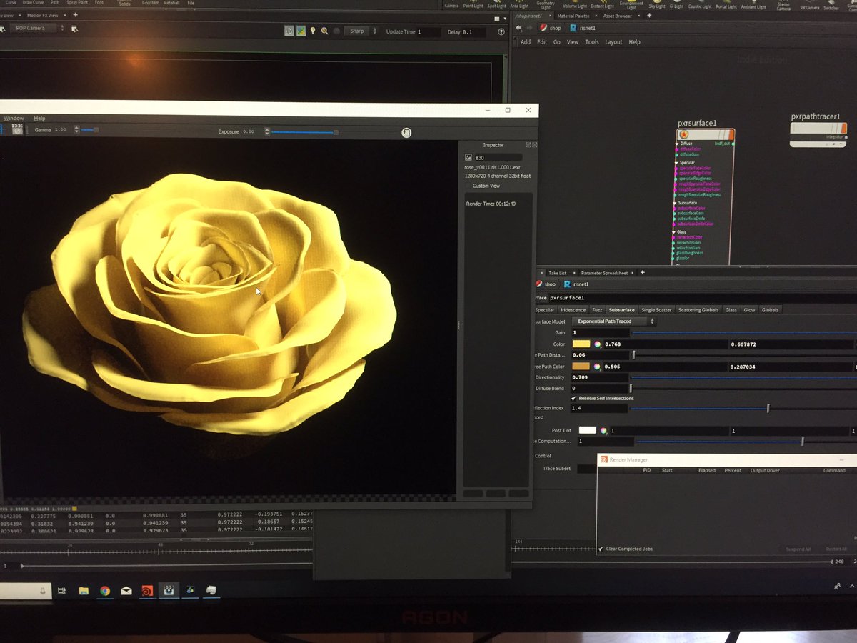 YuriSerizawa_DA's tweet photo. PRman for Houdiniのテストがてらにプロシージャル薔薇作ってる。RfH普通に良い…SSSもPath Tracedモードなら簡単な設定で良い感じになるし、何より大手ハリウッドプロダクションが本気で使ってるレンダラーを無料で使えるってのがヤバイ…VCMも使えるし。 #PRman #Houdini https://t.co/FY6Wzk86dj