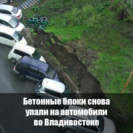 PrimVl's tweet image. primpress.ru/article/40631
#новости #Приморье #Владивосток #PRIMPRESS