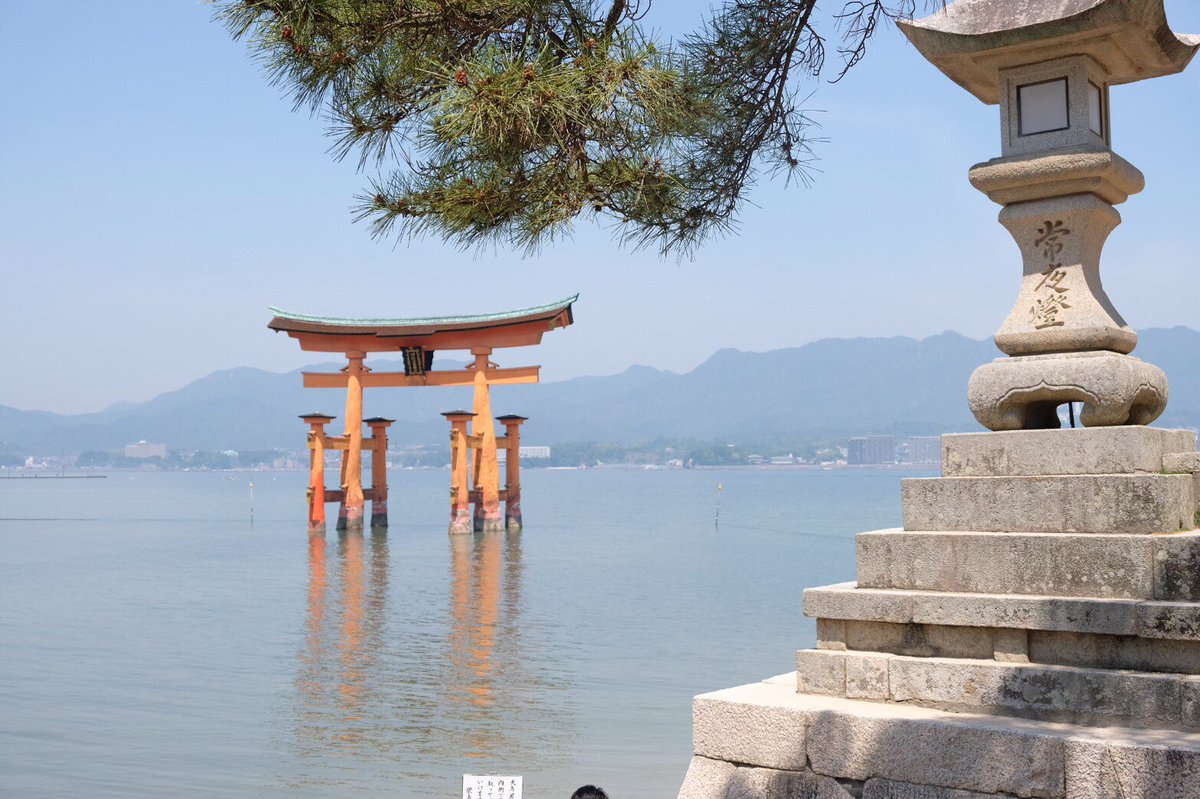 新人養成キャンプ＆ハイキング
in宮島
先週の土日は新しく新一年生を迎えての活動となりました🏕⛰
次回はの活動は7月の
プレ夏キャンプ＆ハイキング
を予定しています！
#宮島 #弥山 #包ヶ浦自然公園