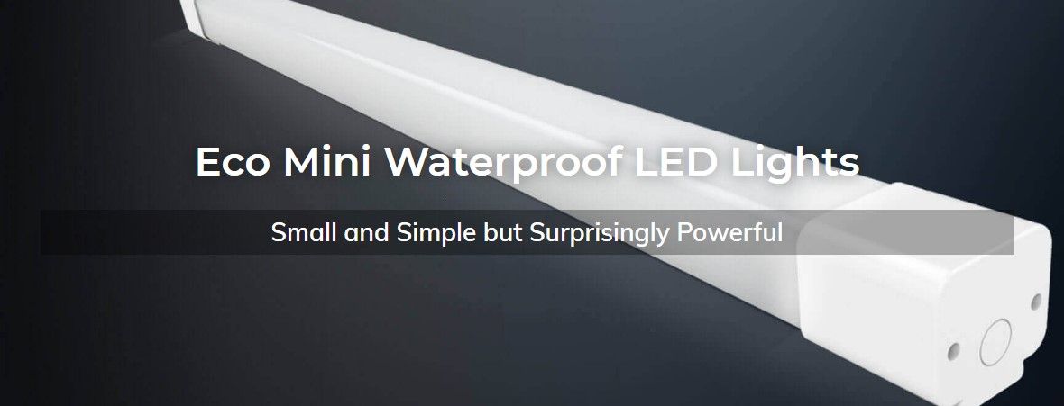 ShineLongCorp's tweet image. Eco Mini Waterproof LED Lights
Small and Simple but Surprisingly Powerful
Price Now: buff.ly/2UbYxvt
.
..
.
.
.
.#ledtv #leduce #ledvideoscreen #ledvideowall #LeDauphin #ledayd #ledbulb #ledbury #ledcandle #ledcandles #ledcostumes #leddecoration #ledekran #lederband