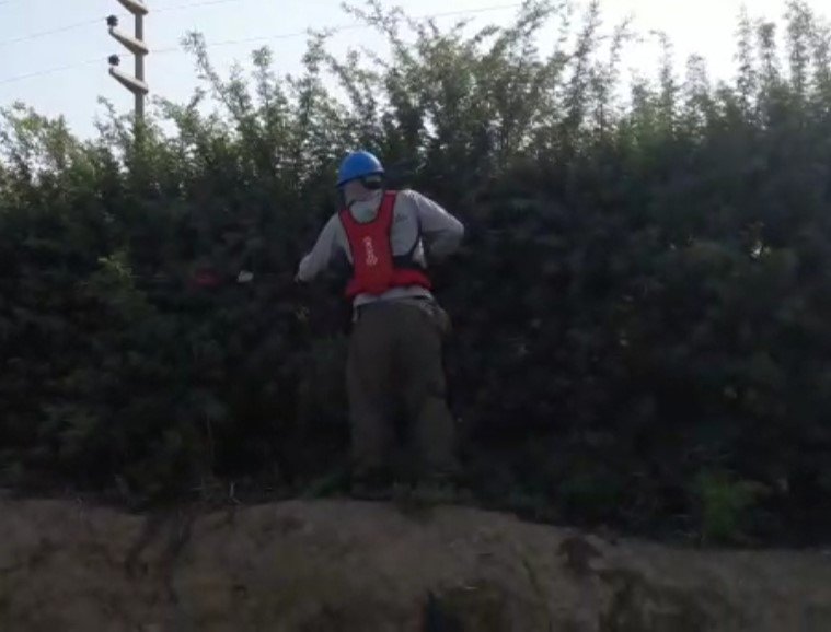 sobitec's tweet image. Powercoup/cabezal cortasetos, herramienta eléctrica de marca francesa INFACO te brinda un avance de hasta 700 m lineales para cercos vivos y hasta 1.5 has/hora para abrir ventana en vid sistema de conducción open gable. ¿Deseas más información? ¡Contáctanos!