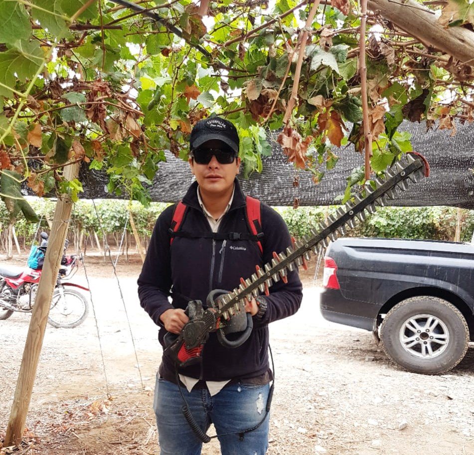 sobitec's tweet image. Powercoup/cabezal cortasetos, herramienta eléctrica de marca francesa INFACO te brinda un avance de hasta 700 m lineales para cercos vivos y hasta 1.5 has/hora para abrir ventana en vid sistema de conducción open gable. ¿Deseas más información? ¡Contáctanos!