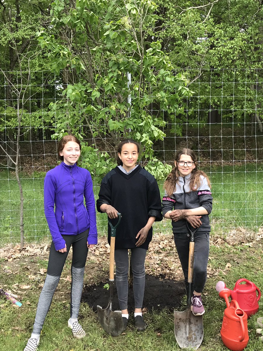 KAsecondary1's tweet photo. Replacing poor soil with the good stuff! Planting a tree! KA Garden fun. https://t.co/jMw7eHKPIb