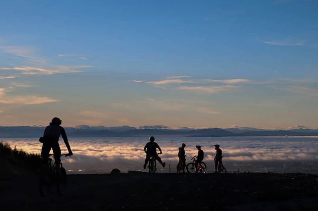 Haka Tours tweet media