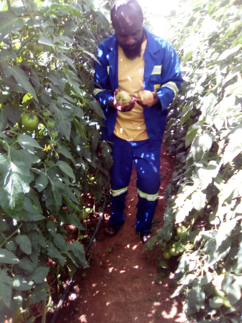 WMutezo's tweet photo. @iamVicmugo @CIAT_ @CsaynKenya @rodgers_kirwa @ezrashedracks @That_A_Lady @NyawiraGitaka @IrriHub @mike_mugendy @Maxwel_Kiptanui @catmungai @diangaronald #LetsGetFarming
#YouthInAg https://t.co/GIO2rHxg1z