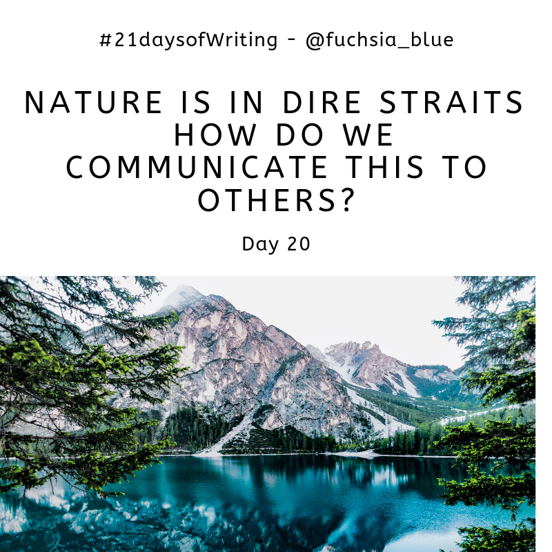fuchsia_blue's tweet image. Nature is in dire straits, how do we communicate this to others? #21daysofWriting – Day 20 fuchsiablueblog.wordpress.com/2019/05/29/nat…