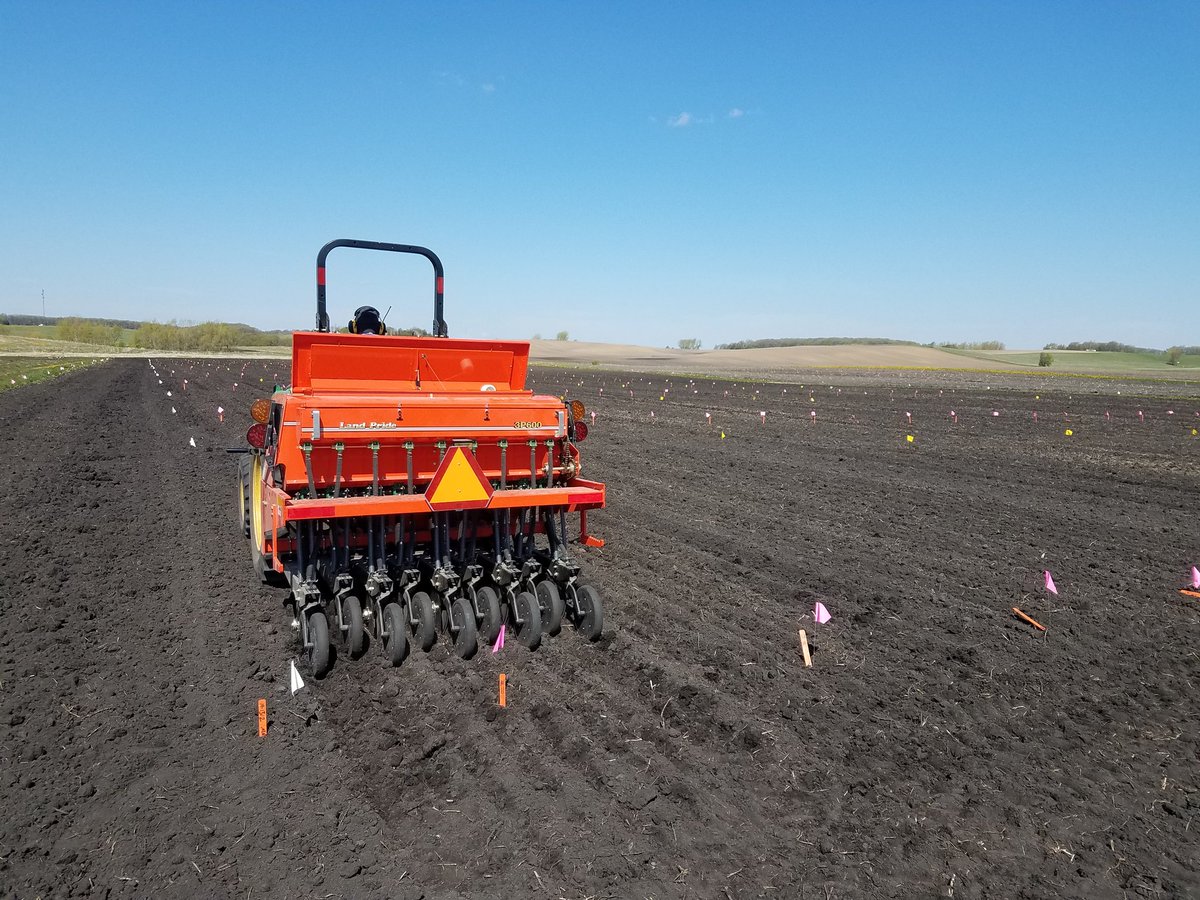 WarnkeResearch's tweet photo. Even though it has been a very wet spring, #WRS has squeezed some plots in this season. https://t.co/eOouROkJKX