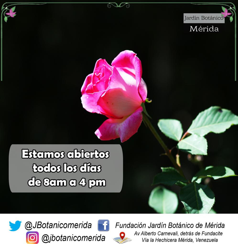 Visítanos cualquier día de la semana desde las 8am hasta las 4pm para disfrutar de un lugar único en la ciudad.