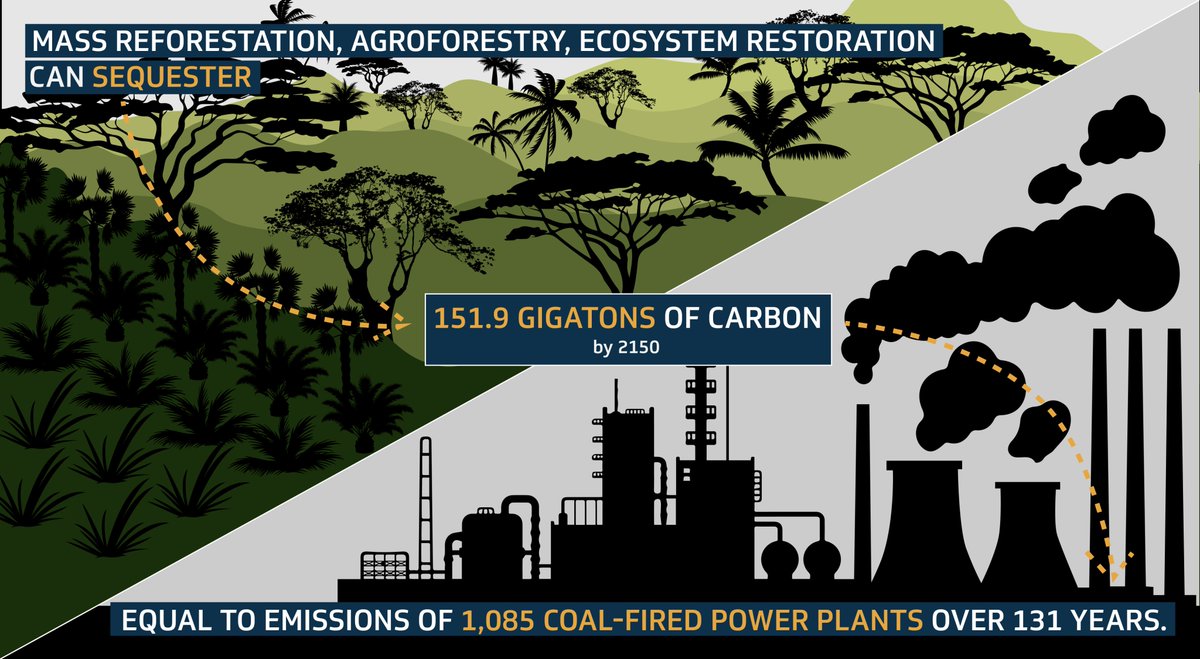 The @oneearth model shows pathways to limiting the world’s warming at 1.5 degrees. We can’t have a safe climate without reforestation and agroforestry. Read more: buff.ly/2VRdm6H via <a href="/NexusMediaNews/">Nexus Media News</a> #OneEarth