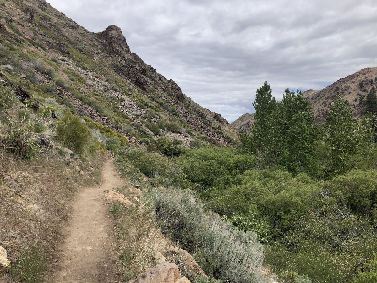 nothing like a good hike for 2 girls who keep tripping on rocks and rolling their ankles - 5/28/19