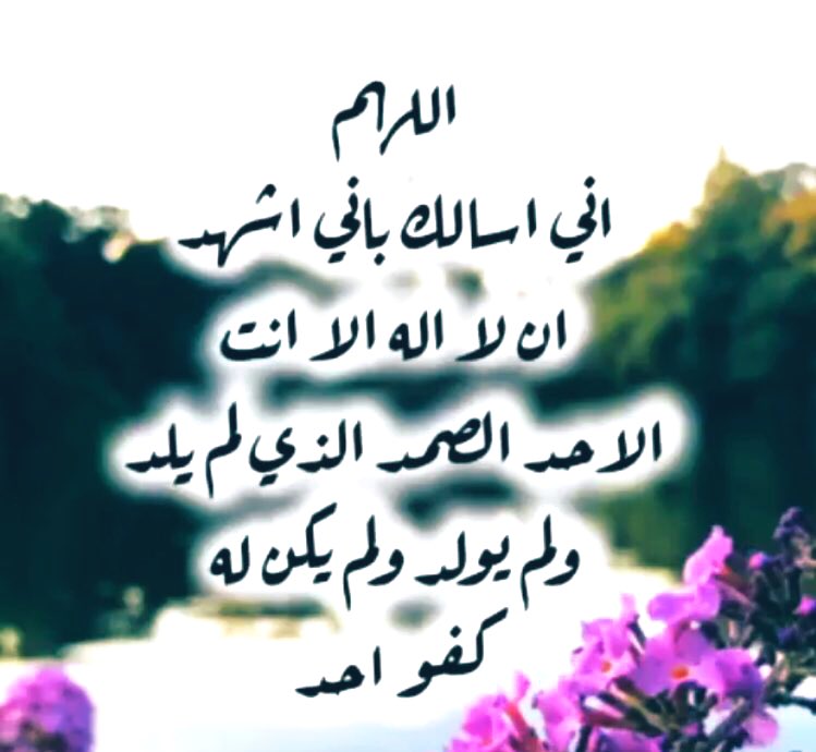 Weathercase's tweet image. #املا_صحيفتك_بالاستغفار

استغفر الله
استغفر الله
استغفر الله
#استغفر_الله_العظيم_وآتوب_إليه 

- اللهم إني أسألك بأني أشهد أنك أنت الله 
لا إله إلا أنت الأحد الصمد الذي لم يلد 
ولم يولد ولم يكن له كفوا أحد

- يارب أنت أعلم بما في خوافينا، فارزقنا ما نتمنى وأكثر مما نتمنى

 👐🏻
