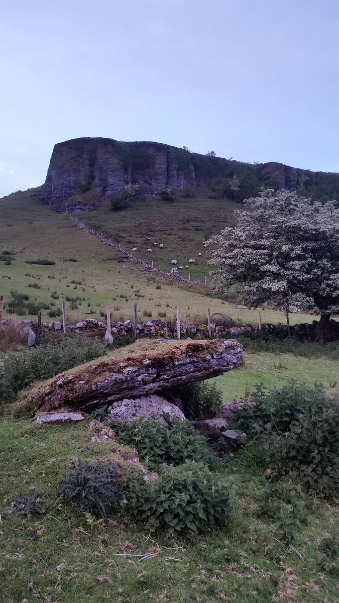 Ciarán Davis tweet media