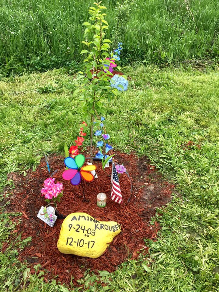 HawgCityGOC's tweet photo. Today, we took a trip to the Tree Park to clean it up for the beginning of the summer. Everything’s looking great, now! Be sure to check out our tree park in #Milwaukee to pay respect to all of these children lost due to child abuse. https://t.co/UgeEhhRHkF