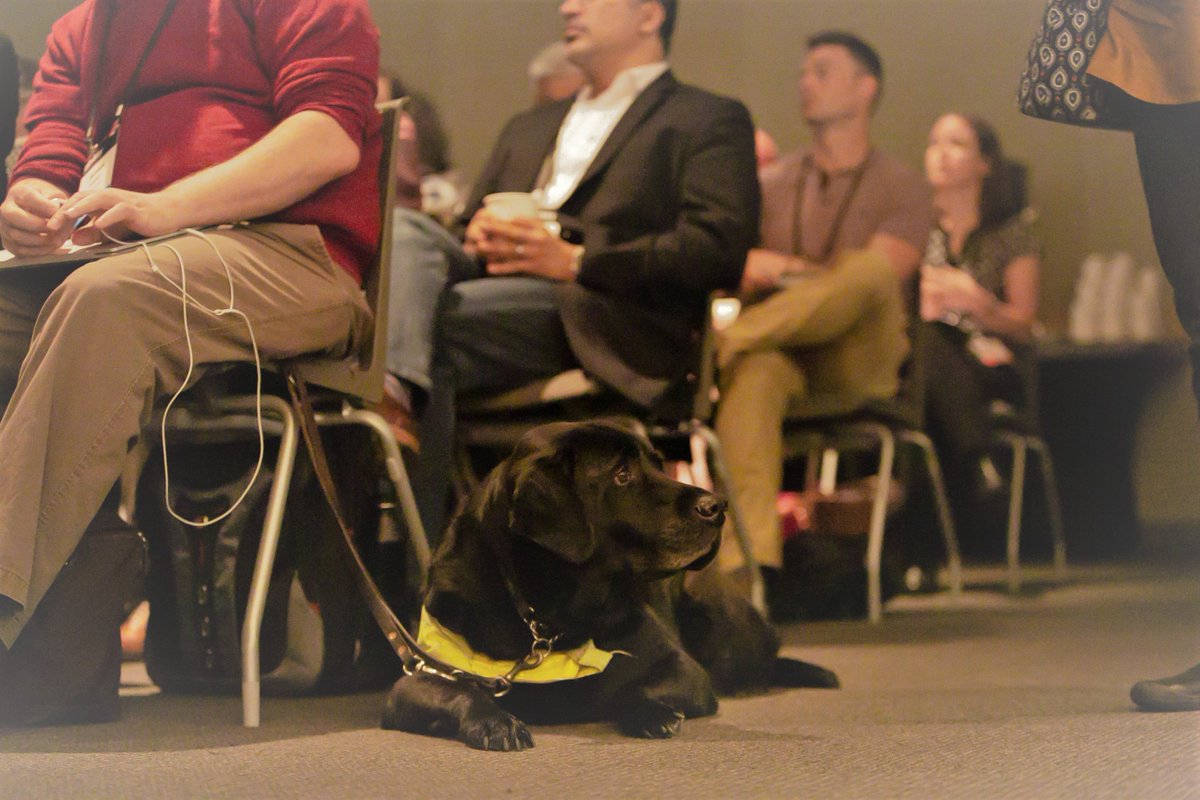 mkashman's tweet photo. FREE local Redmond accessibility event, Thurs.May.30 - 11:30am-4pm.

@Microsoft's 2nd annual "Ability Summit Community Day" (MS Redmond campus). 

Executive keynotes w/@BradSmi &amp; @ChrisCapossela + product expo, job fair &amp; more.

Register/info: https://t.co/HRVTRQrq8Z https://t.co/DuKC1gLBGU