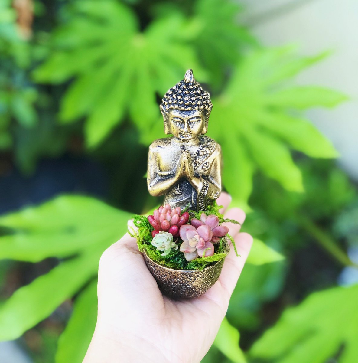 SimplyGood_Life's tweet photo. A super zen planter ✨ https://t.co/ChZPtf3t99   #buddha #succulents #zen #etsy https://t.co/nuuhSGcIzc
