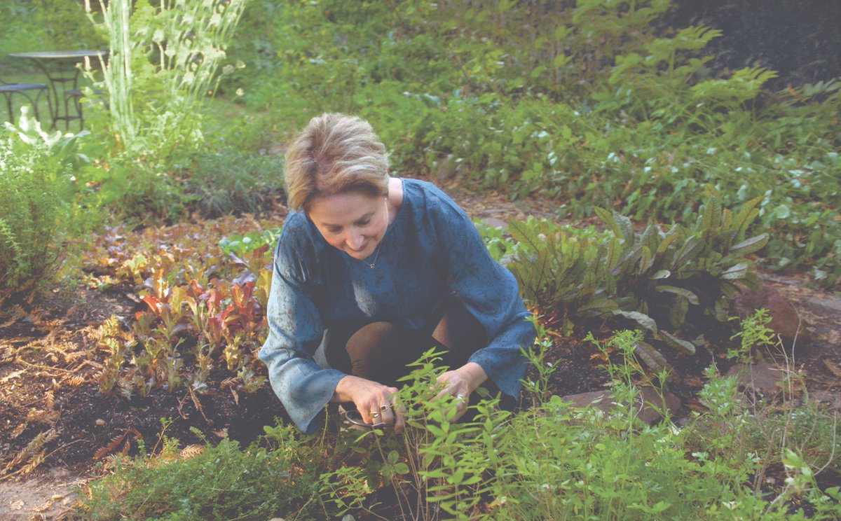 I was so excited to see The Garden Chef arrive! It is a beautiful book that offers an exclusive glimpse into the gardens of some of my favorite restaurants. I was delighted to have Chez Panisse and my own personal garden be featured in it. phaidon.com/gardenchef #thegardenchef