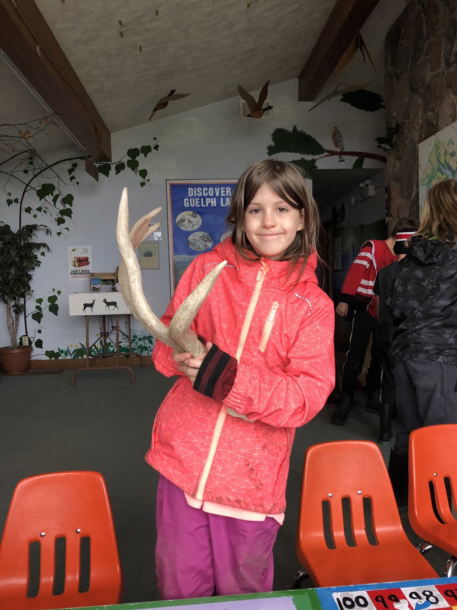 sjfgator's tweet photo. The Grade 4’s had a snail 🐌 of a time at the Guelph Lake Nature Centre today. #WhatCDSBDoes #LearnWithAnOpenMind https://t.co/ThGSAcaQKX