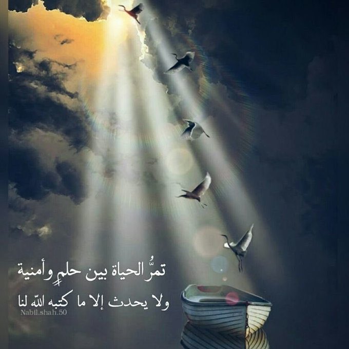 AltaeeDiyaa's tweet photo. تمر الحياه بين حلم وأمنيه ولا يحدث الأ ما كتبه الله لنا https://t.co/Wf5krKGmvy