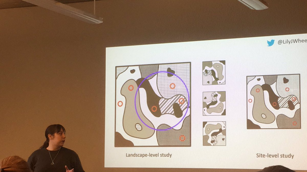 gusbarbary's tweet photo. #fire #management for #habitat loss in #australia - a critical #species protection study @LilyJWheeler @UniMelbscicomm #environmental #sciences https://t.co/XxeGUFmbw6