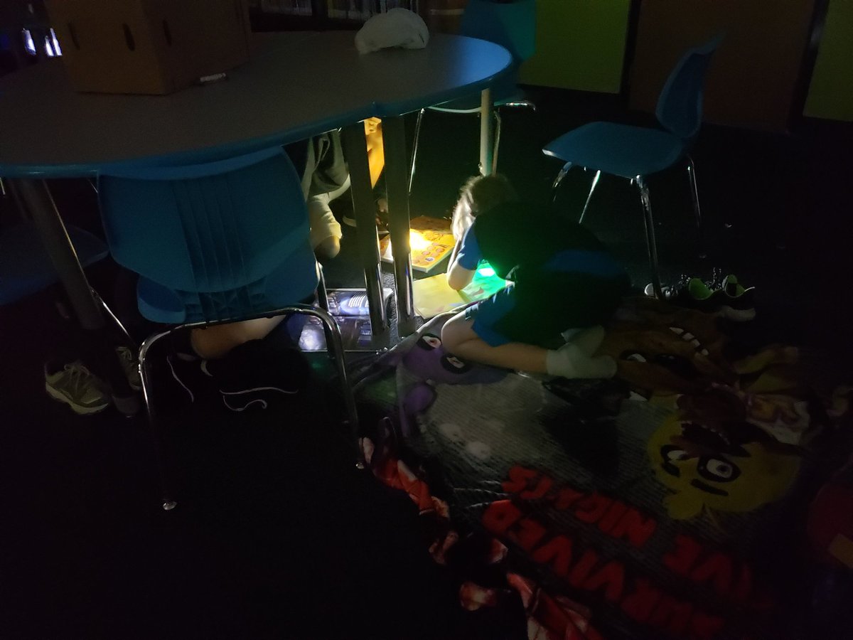 WoodElemLibrary's tweet photo. Flashlight reading with Mrs. Smith's class today. #Woodwows https://t.co/h0rSRXoTS4