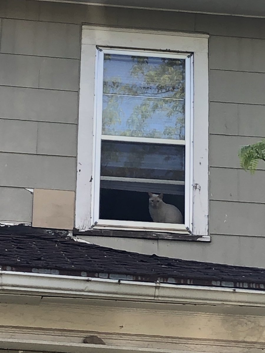 _penywise_'s tweet photo. the surveyor... https://t.co/F57F5iPwCw