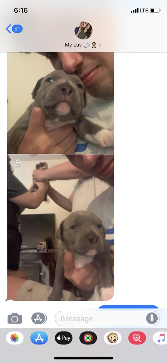 Diana ❀ tweet media