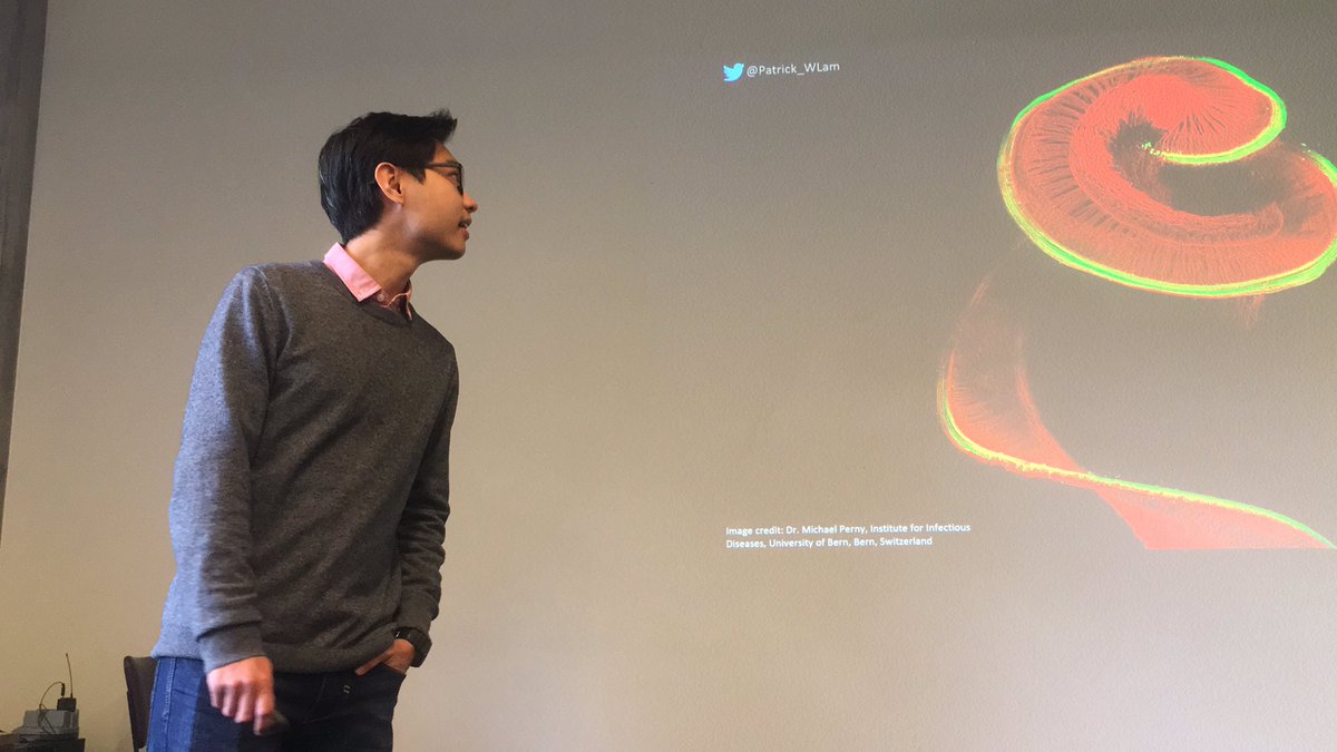 gusbarbary's tweet photo. @Patrick_WLam investigating #nanoparticles for #hearingloss and comparing it to taking #sushi on a #roadtrip @UniMelbscicomm https://t.co/RDI7AuEk5a