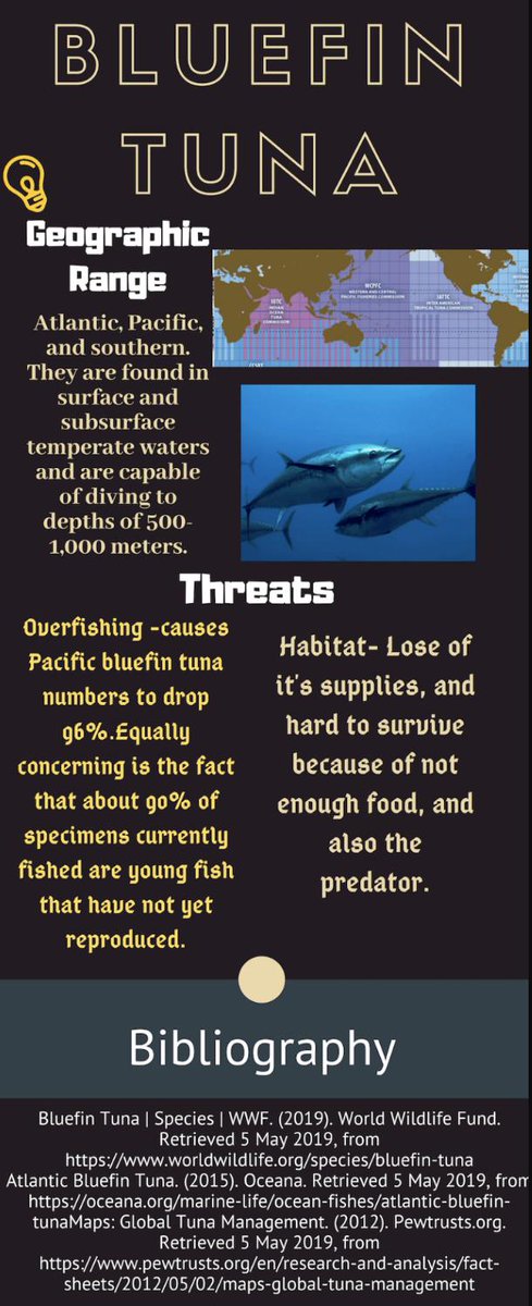 This is my infographic about Bluefin Tuna. I explained their habitats and their threats. We will need everybody's help to save the Bluefin Tuna's.#kastw#kasea#kasendangered@msbull4@johnkeisker#@RyanSophia7 #@OP_Society #@OceanicRescue.