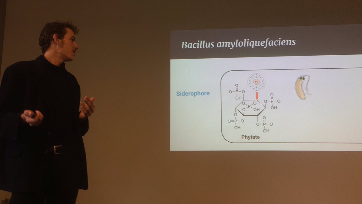 gusbarbary's tweet photo. This little guy - A plant’s best friend says @Cottop1 - what can this do to help feed the worlds #plants ?@UniMelbscicomm https://t.co/61cxG7dW8e