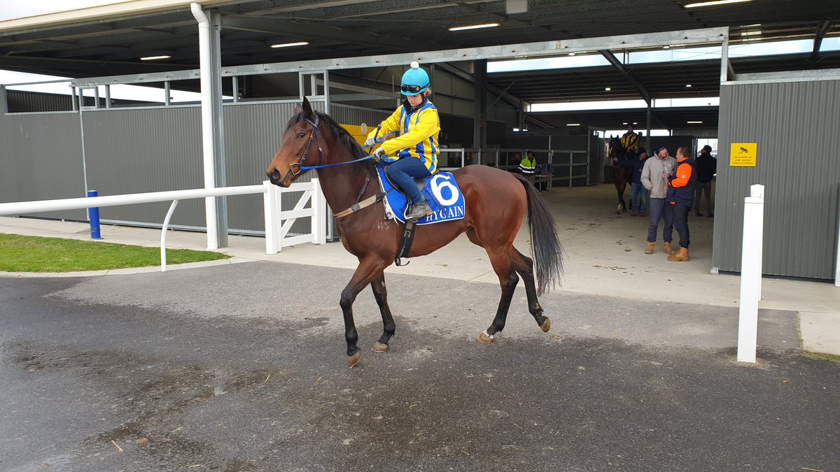 SamTaweets's tweet photo. Rock My Frock braving the cold for a jump-out at Pakenham.
#BullshitCold https://t.co/qme3i6BN44