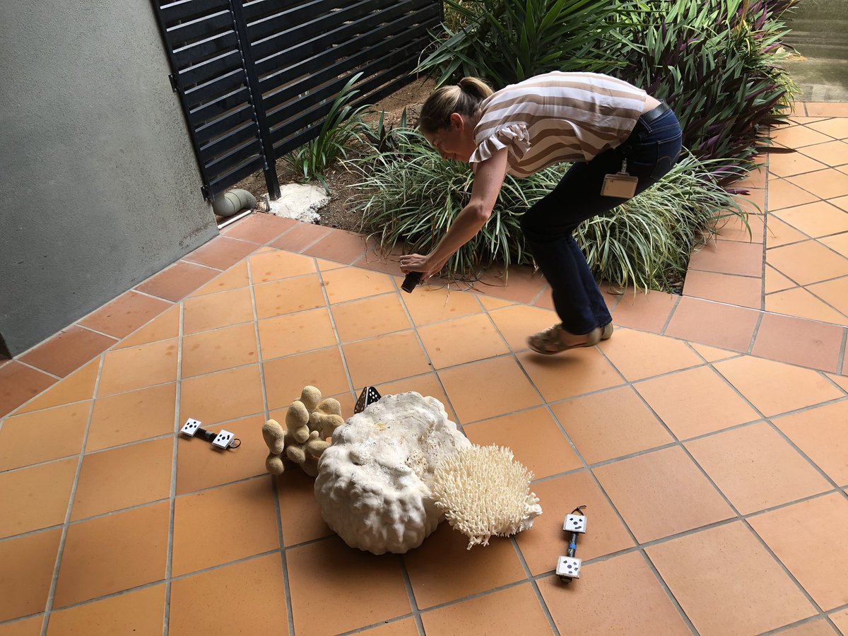 willfig's tweet photo. 3D modellers getting stuck into the nitty gritty at our @aims_gov_au workshop. @DrFerrariR @Sydney_Science @USydMSI @Sydney_Uni #3Dreefs https://t.co/PxGMpbw3Nk