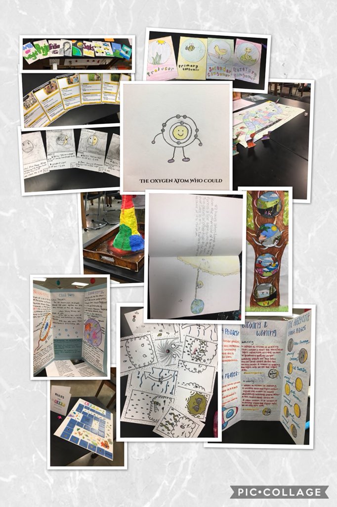 psychgrad_19's tweet photo. These are just a few of the awesome projects my students produced over the last few weeks for their final exam. #sciencerocks #SSMSyr2 #IamDSISD https://t.co/AB0jV9CbVZ