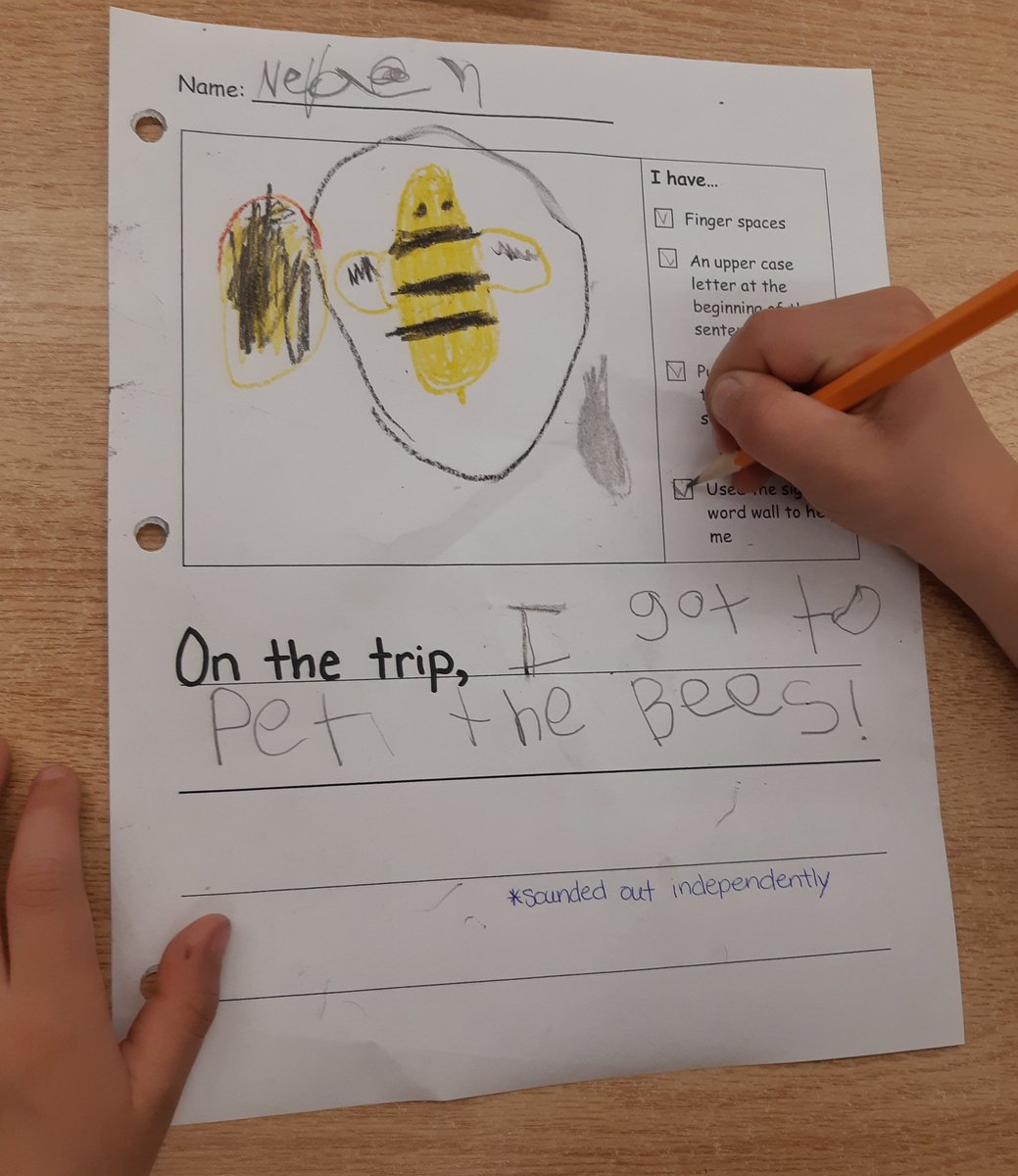 Taylorjones052's tweet photo. Here are some of our @clovermead highlights which included riding the school bus for those who had not taken one before. Students have been eagerly using their checklists to look for finger spaces, punctuation and a capital letter at the beginning of the sentence. @FDRooseveltPS https://t.co/sJ81GcKsId