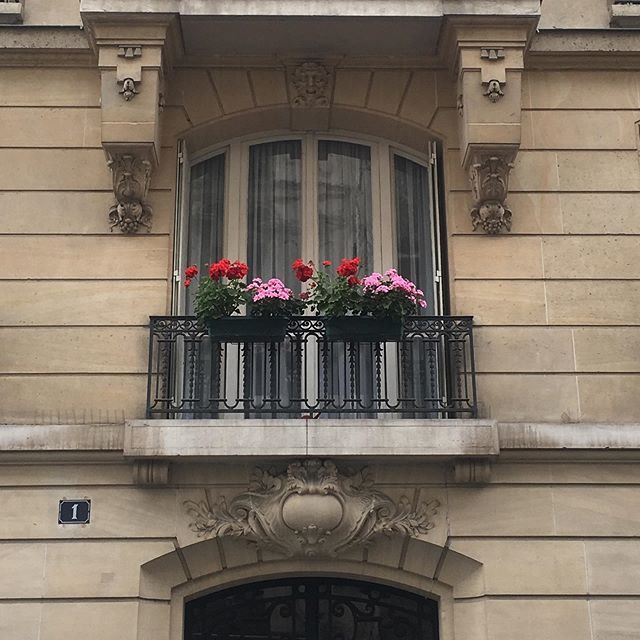 Belleemag's tweet photo. It never gets old 🌸 https://t.co/dWsNNQ7Apc https://t.co/zCIV4pDigd