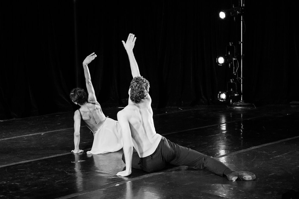 PresentingDenCO's tweet photo. The 2020 Presenting Denver Dance Festival Call for Submissions is just around the corner. Join the PD mailing list to get all the details. https://t.co/SKzAB9smzC #presentingdenver #newmancenter #pddancefest Credit: Jamie Kraus https://t.co/USJlLGP5tS