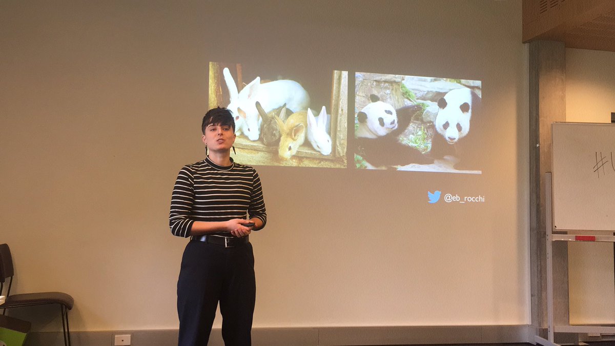 gusbarbary's tweet photo. What do #rabbits and #pandas NOT have in common? #sex drive! @eb_rocchi runs us through #gonads and how they form. https://t.co/ITHw3Tejdi