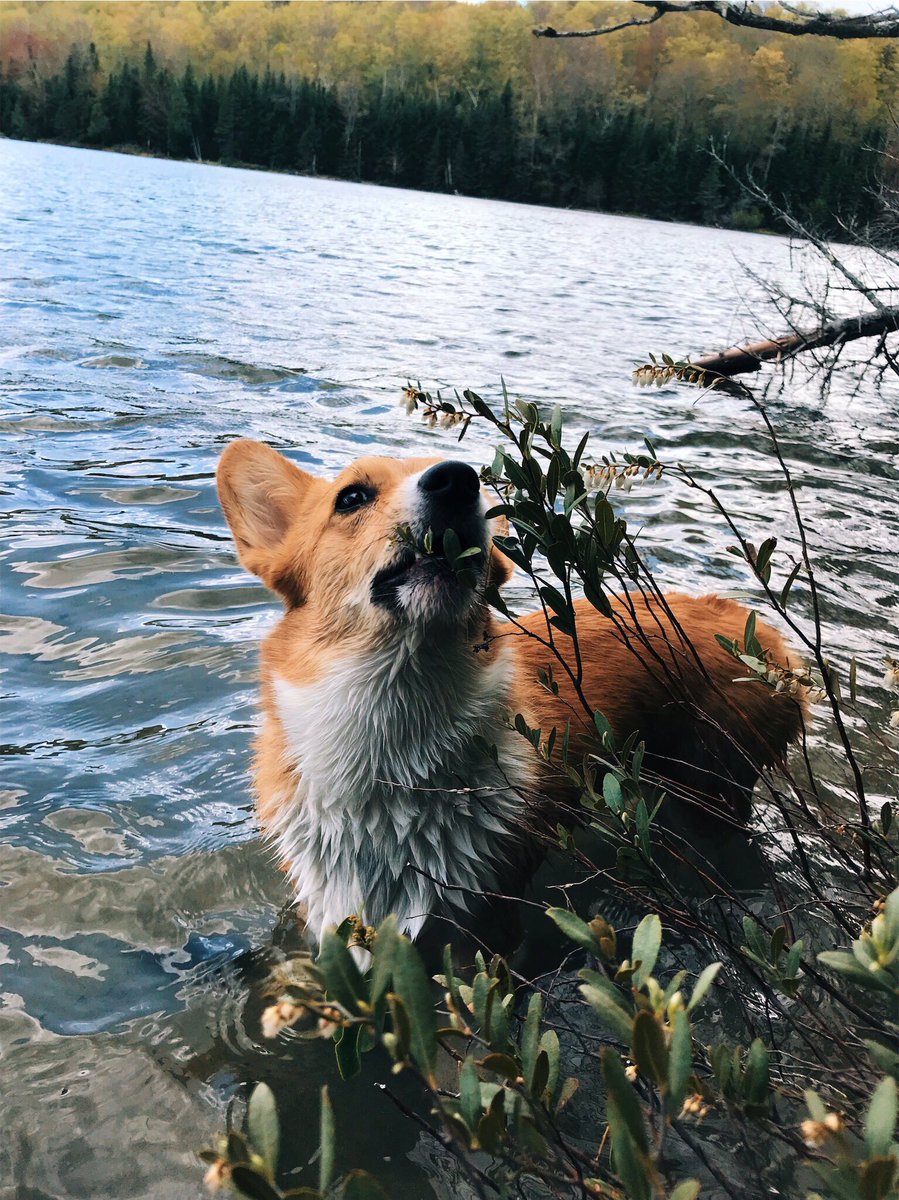 garnermegan's tweet photo. When wrestling szn ends adventure szn begins #adirondacks https://t.co/bk180HV2MH