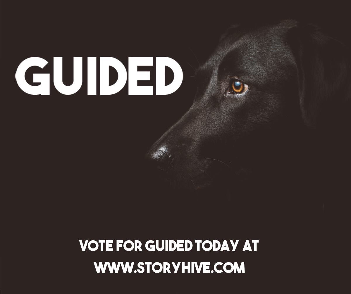 We’re excited to announce our newest project, Guided - a documentary on Dogs with Wings! Help us to make this documentary a reality by voting for us (link below), every day until July 17th. <a href="/STORYHIVE/">STORYHIVE</a> <a href="/lindisfarnepro/">Lindisfarne</a> 

(VOTE HERE - storyhive.com/project/show/i…)