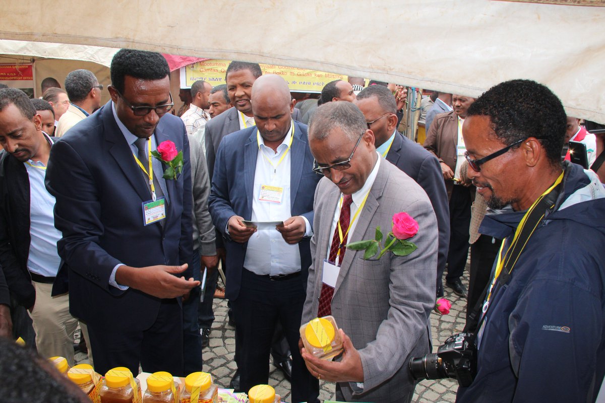 icipe at World Bee Day in Ethiopia