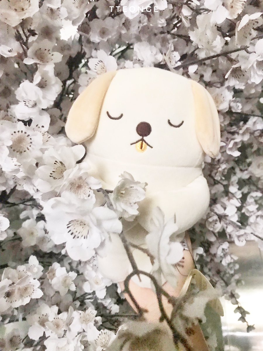 tteonge's tweet photo. 세상에서 일귀여운 옹나블~ ㅇㅅㅇ
#ONGSEONGWU #Ongnable #TheSpringHome #옹성우 #옹나블 #더스프링홈 https://t.co/bsX2QAGg80