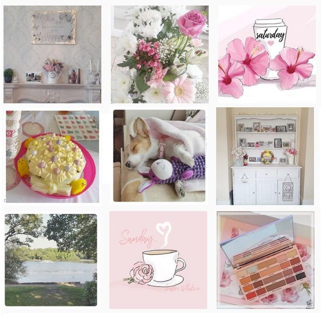 Follow me on #Instagram and keep up to date with what I'm up to with my insta-snaps - instagram.com/alisha.valerie 📷🌸

#vlogger #veganbloggers #bbloggers #lbloggers #fbloggers #teacupclub #thegirlgang #girlgang #bloggersblast #bdib #blogginggals #blissbloggers #blogsforher