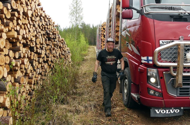 Videot XX ilmaiseksi