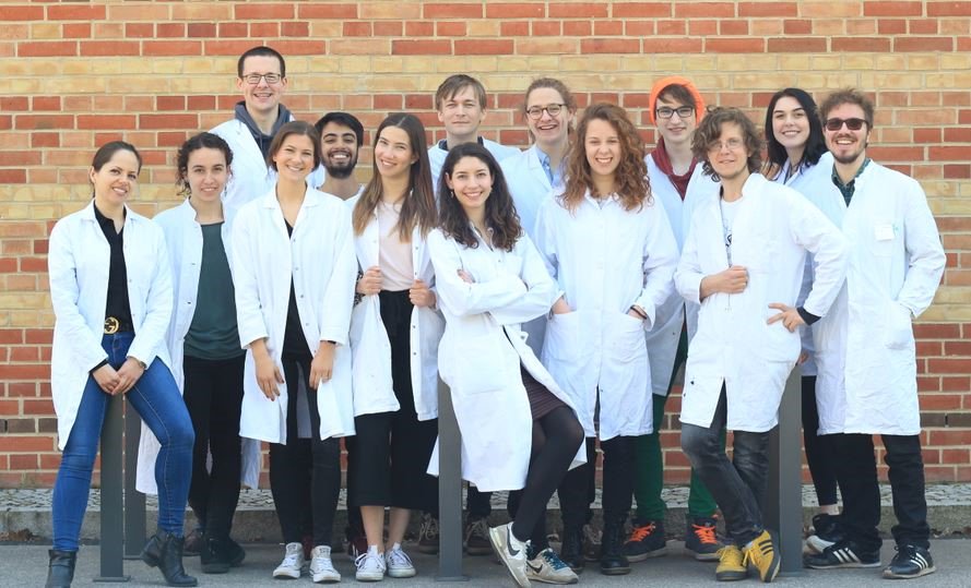 Wir ersticken im #Plastikmüll, futtern fröhlich #Mikroplastik, haben miese  #Recycling-Quoten – Lösungen sind gefragt. Können Algen hier helfen? algaeobserver.com/algen-gegen-mi… … #algen #mikroalgen #bioökonomie