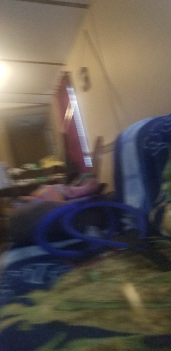 Dancing Llamas Natural Gifts (@lama_gift) on Twitter photo 