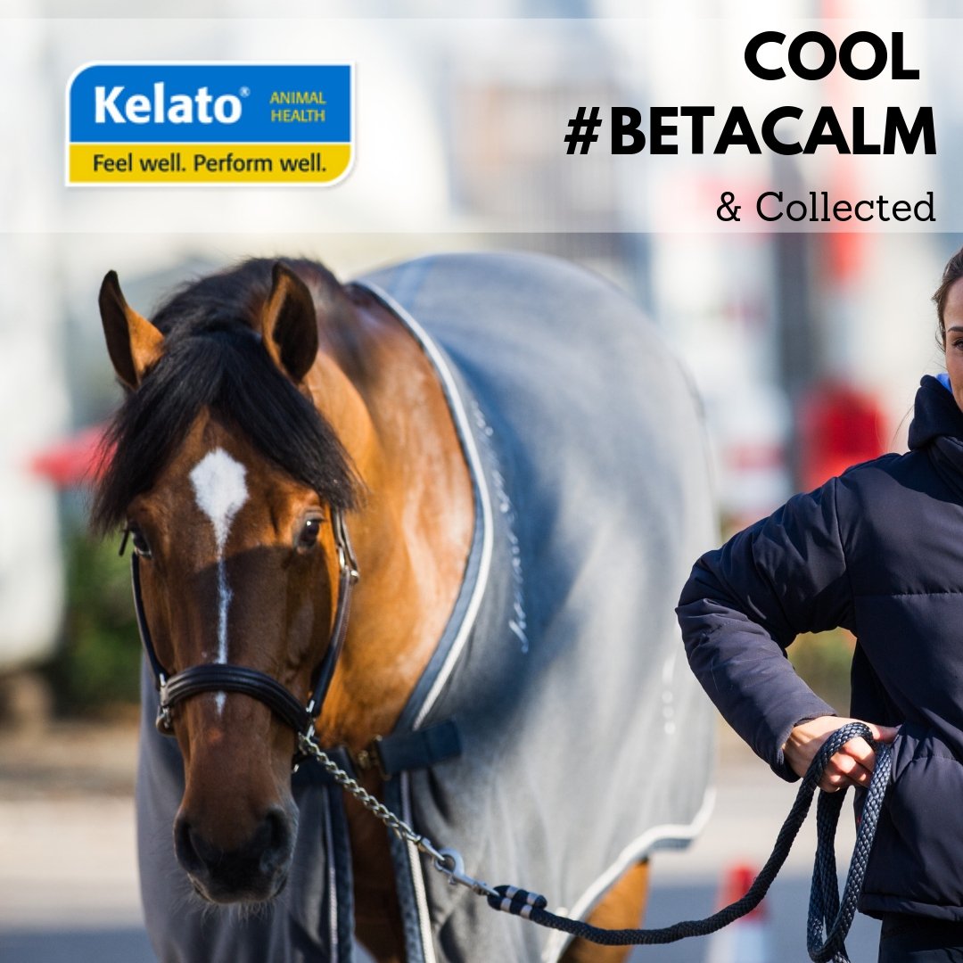 Kelato Animal Health tweet media