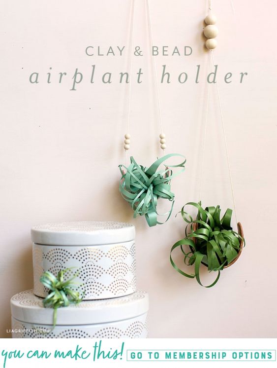 How to Make a Cute &amp; Simple Air Plant Holder #diydecor #planthanger #easycraft #homedecor liagriffith.com/clay-air-plant…