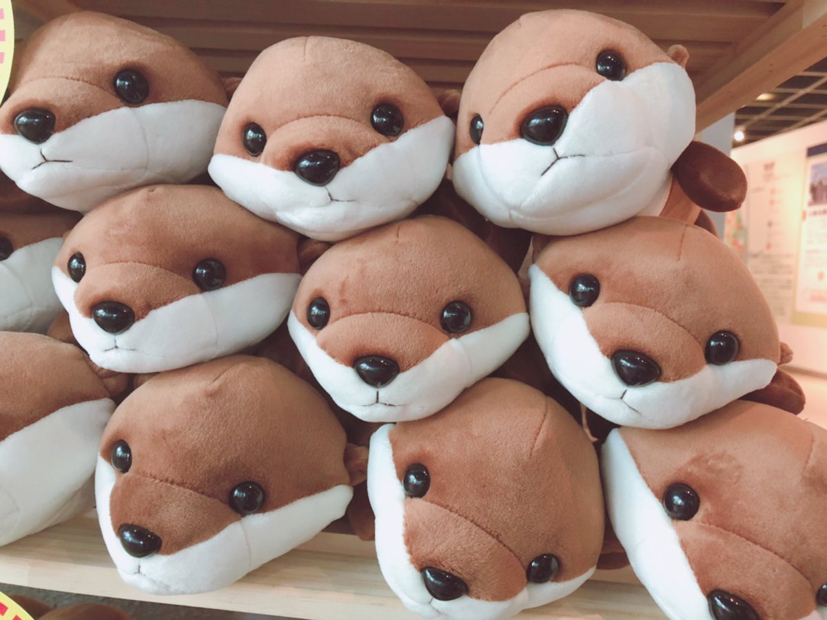 そして、今日は #世界カワウソの日 ！ オフィシャルショップでは